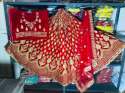 Designer Velvel Bridal Lehenga thumb 2