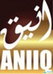 Aniiq Creations logo icon