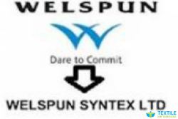 Welspun Syntex Ltd logo icon