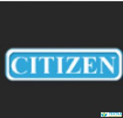 Citizen Synthetics Pvt Ltd logo icon