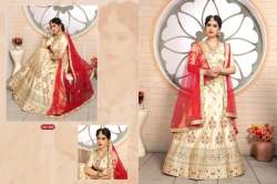 Party wear Lehenga Choli 
