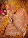 Pure Organza Exclusive Bridal Wear Lehenga thumb 2