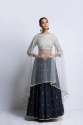 Exclusive Designer Lehenga Choli thumb 2