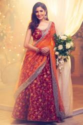 Bridel Lehenga Choli27