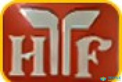 Himanshu Fashion logo icon