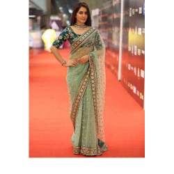 Fancy net border saree