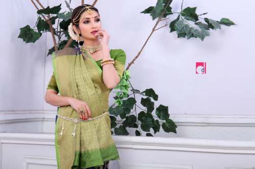 BANARASI SILK