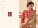 fancy-designer-wedding-saree