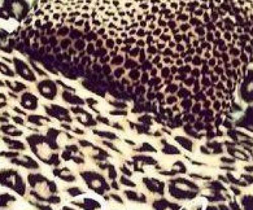 Warm Bed Sheet