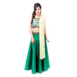 Printed Raw Silk Lehenga Choli
