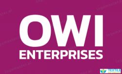 Owi enterprises logo icon