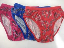 Multi color ladies panty