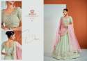 Cinderella Vol 16 Pastel Color Lehenga by Arya Designs