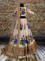 Heavy Digital Printed Lehenga Choli thumb 9