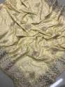 Sanna Silk Embroidery Stone Work Saree