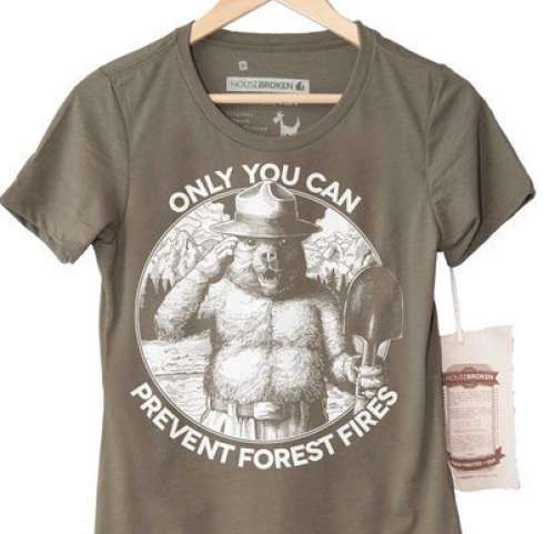 Ladies Cotton T-Shirt