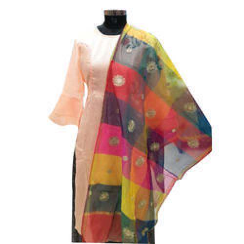 Banarasi Multi Colour Work Dupatta