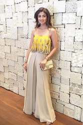 ab-176 shilpa yellow crop-top(