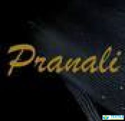 Pranali Fashion Design Studio logo icon