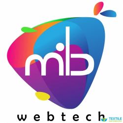 MIB Webtech Best Digital Marketing Web Designing Company logo icon