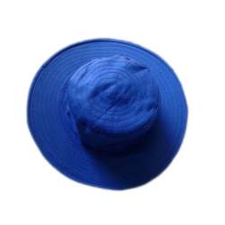 blue umpire cap