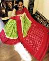 ikkat-hand-block-printed-cotton-saree