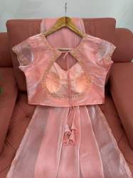 Beautiful Designer Saree on Jimmy chu Febric