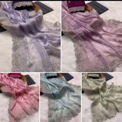 classic embroidery work jimmy choo saree