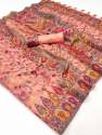 classic Organza With Handloom Weaving Kashmiri saree thumb 8
