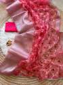 Embroidery Work  silver Zari Organza Saree thumb 5