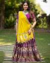 Garba Night Designer Printed Lehenga Choli	 thumb 5
