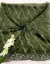Heavy Quality Sequence Embroidery Work Butterfly Net Saree thumb 7