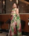 infloura organza  silk handcrafted work saree 
