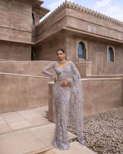 Miracle Grey Color Mono Net Sequins Embroidery work Saree