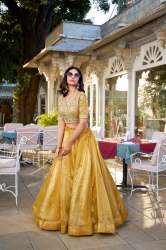 Premium And Beautiful Collection Goldi Lehenga With With Canvas and Can Can