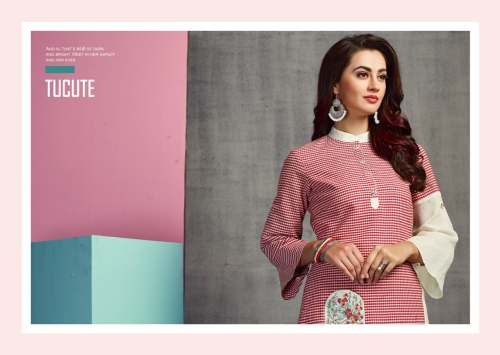 Pure Handloom with embroidery kurti