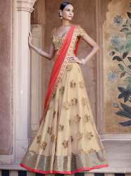 Ladies Elegant Lehenga