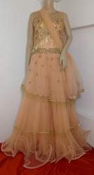 Zari work Net Designer Long Gown