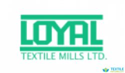 Shri Vishala Textile Mills logo icon