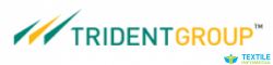 Trident Limited logo icon