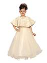 Kids Girls Fancy Party Wear Gown