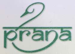 Prana logo icon