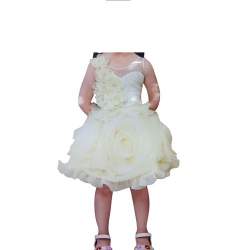 Beautiful White Rose designer frock