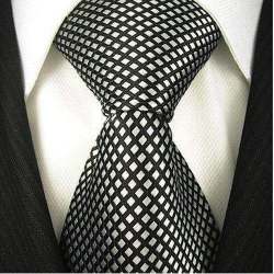 Mens Professional Tie
