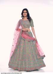 Arya Designs Poshak Soft Net Lehenga 