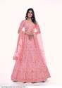 Arya Designs Poshak Soft Net Lehenga  thumb 1