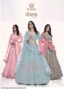 Arya Designs Poshak Soft Net Lehenga  thumb 2