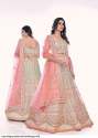Arya Designs Poshak Soft Net Lehenga  thumb 6