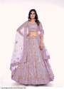 Arya Designs Poshak Soft Net Lehenga  thumb 9