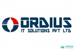 Ordius IT Solutions Pvt Ltd  logo icon